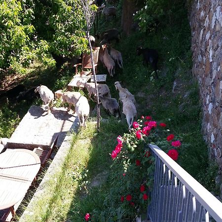 Hotel Le Niobel - Hotel De Charme Belgodère Εξωτερικό φωτογραφία