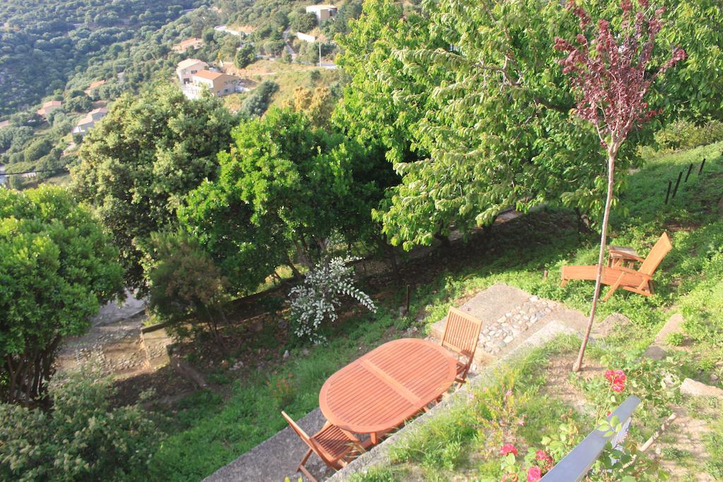 Hotel Le Niobel - Hotel De Charme Belgodère Δωμάτιο φωτογραφία